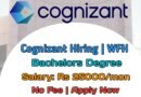 Cognizant Hiring for Non-Voice Process | Exciting Work-from-Home Opportunity